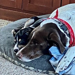 Meet your Posher, Nickie